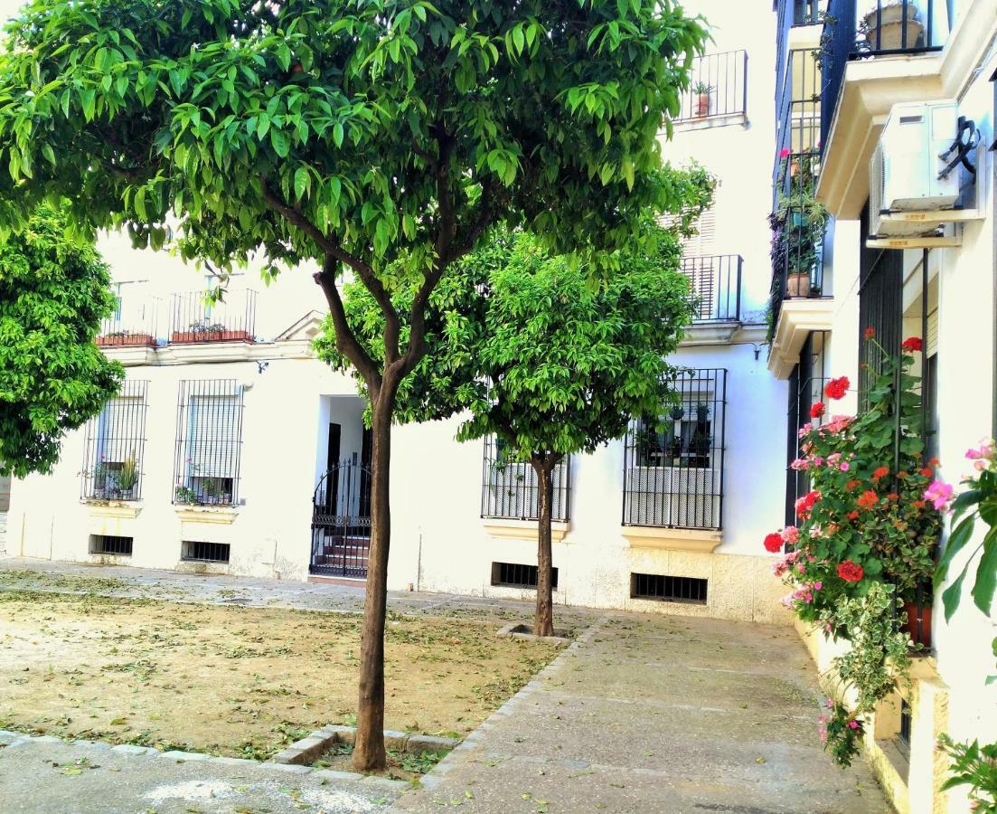 Apartamento Plaza Compania Jerez Jerez de la Frontera Luaran gambar