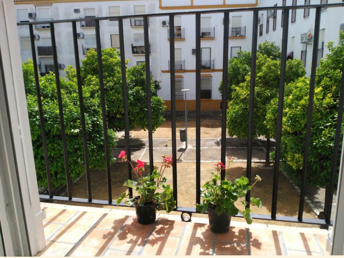 Apartamento Plaza Compania Jerez Jerez de la Frontera Luaran gambar